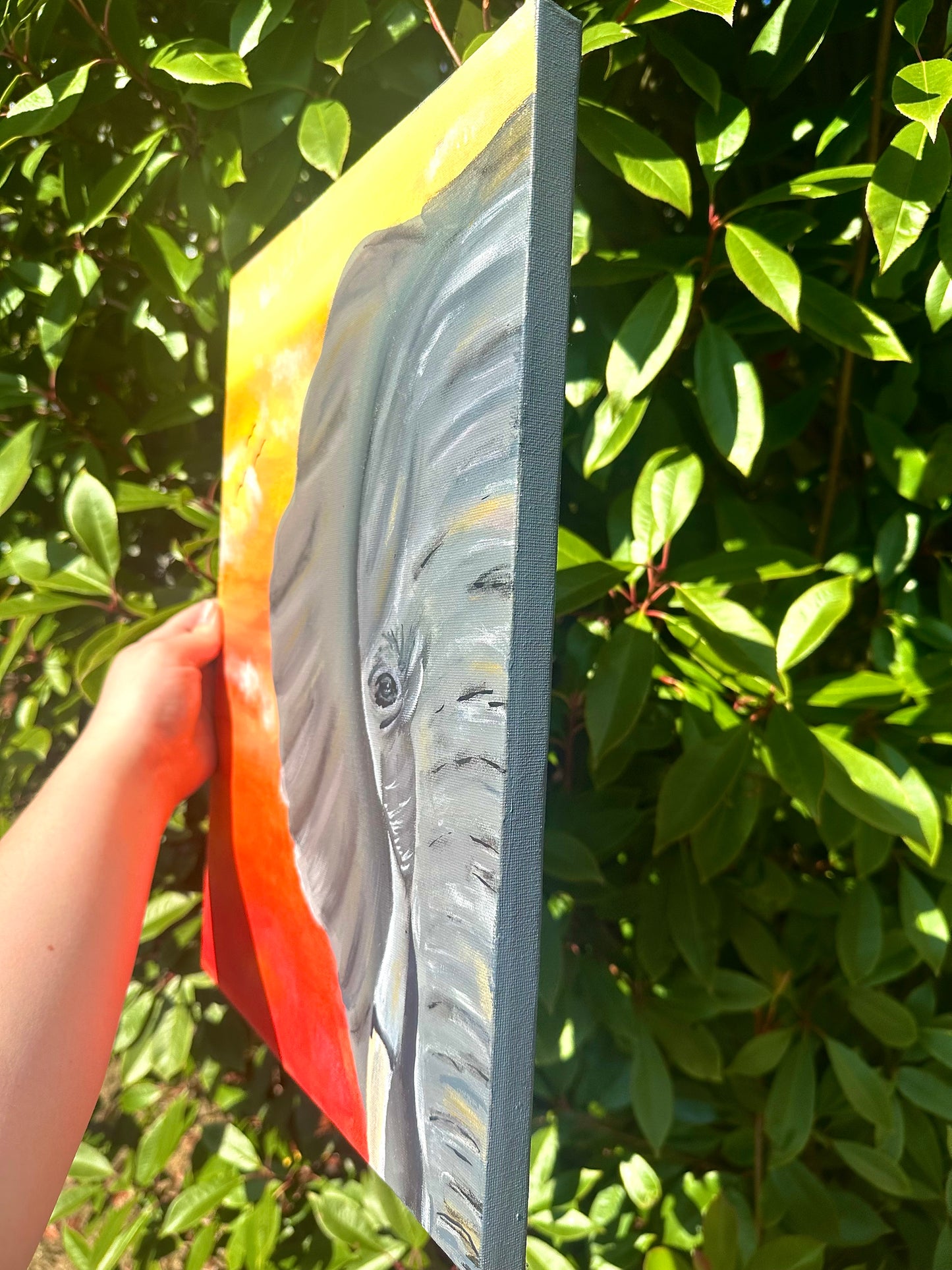 Elephant Heaven Canvas