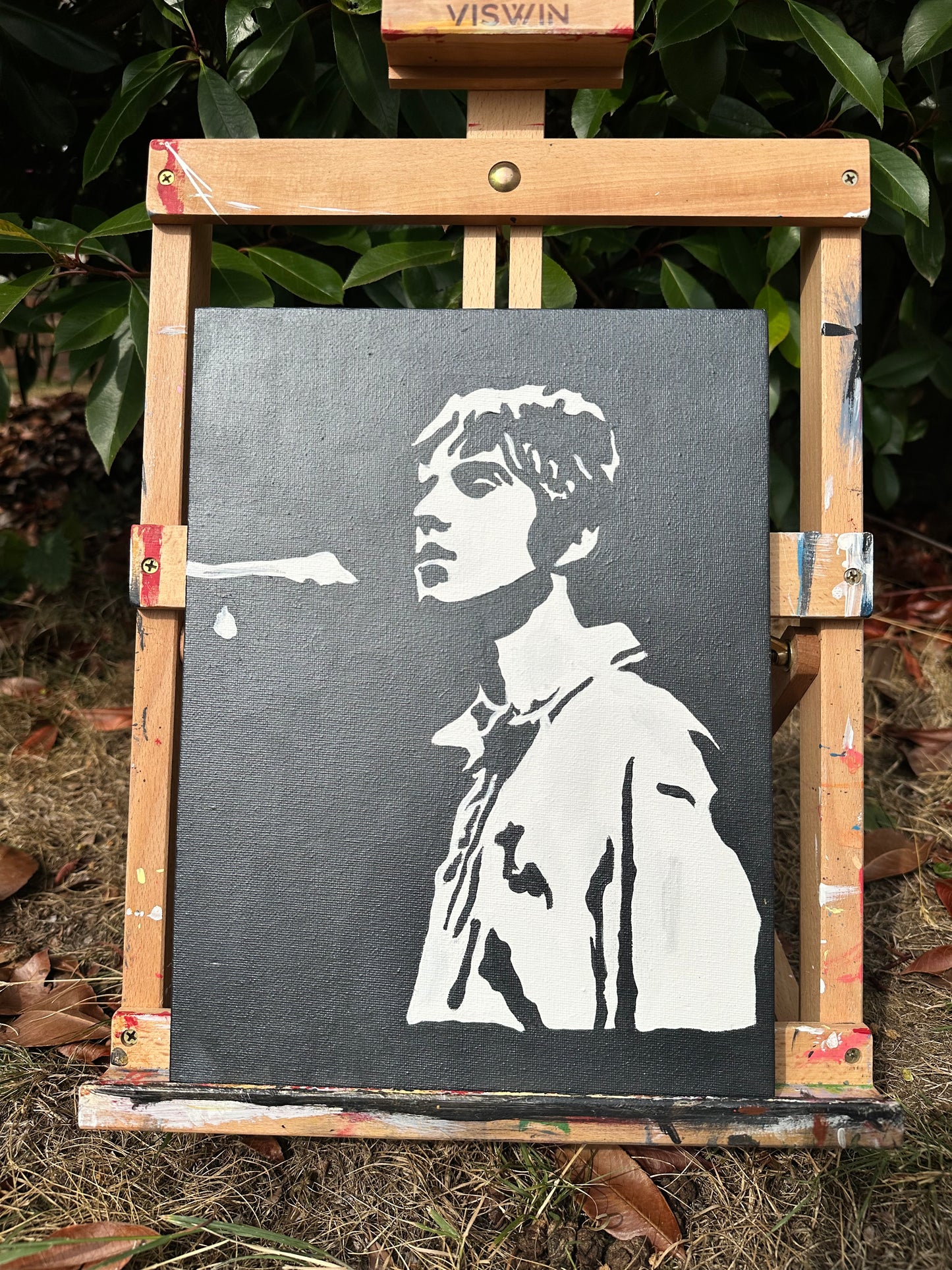 Liam Gallagher Canvas