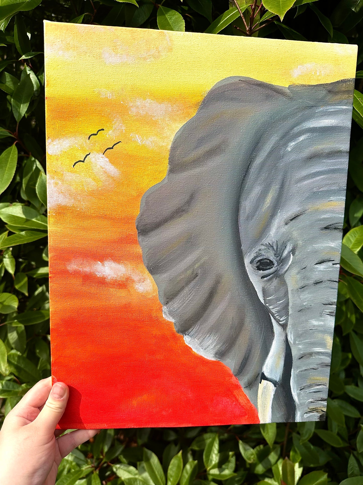 Elephant Heaven Canvas