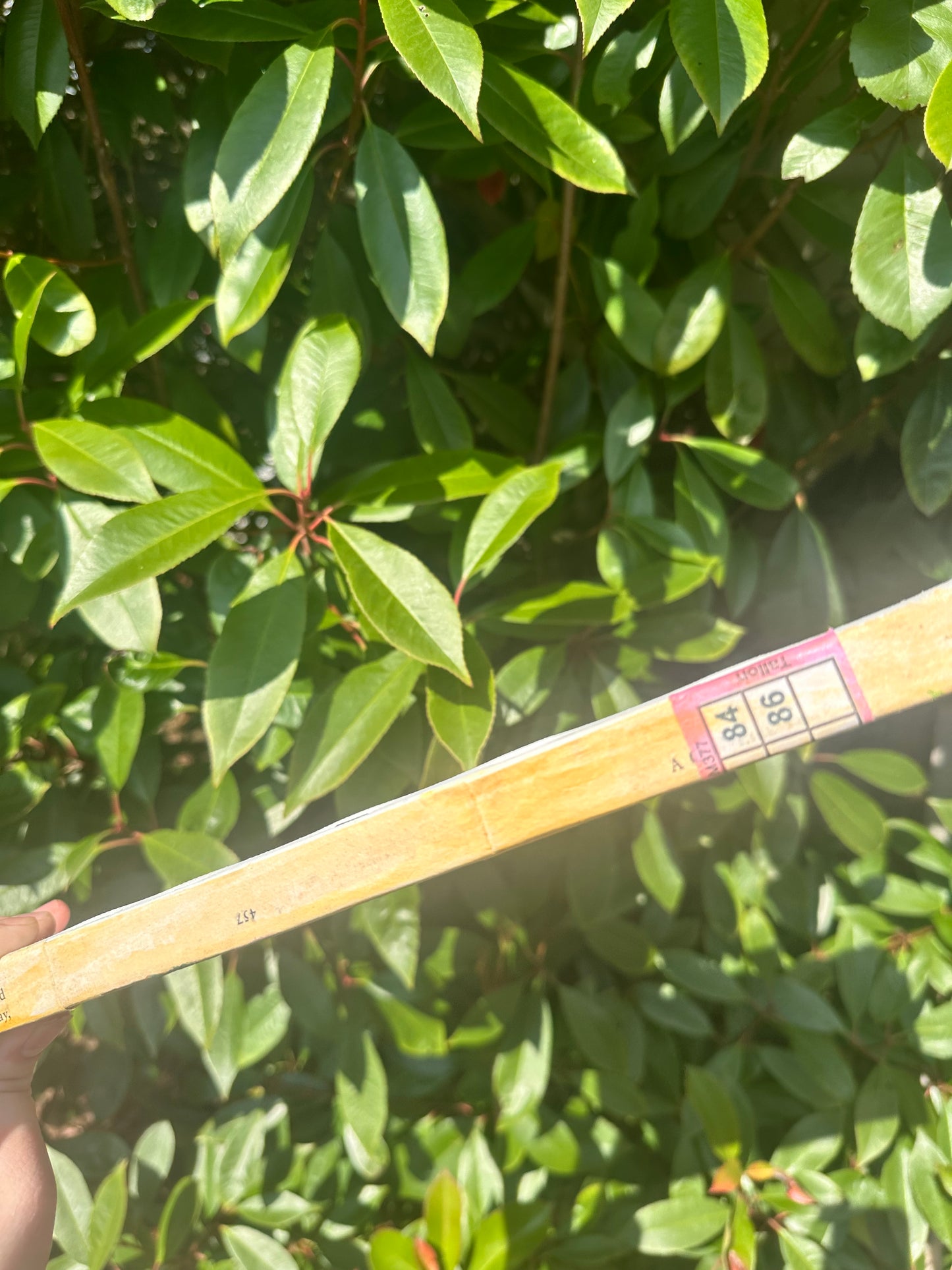 Newspaper Flower Canvas