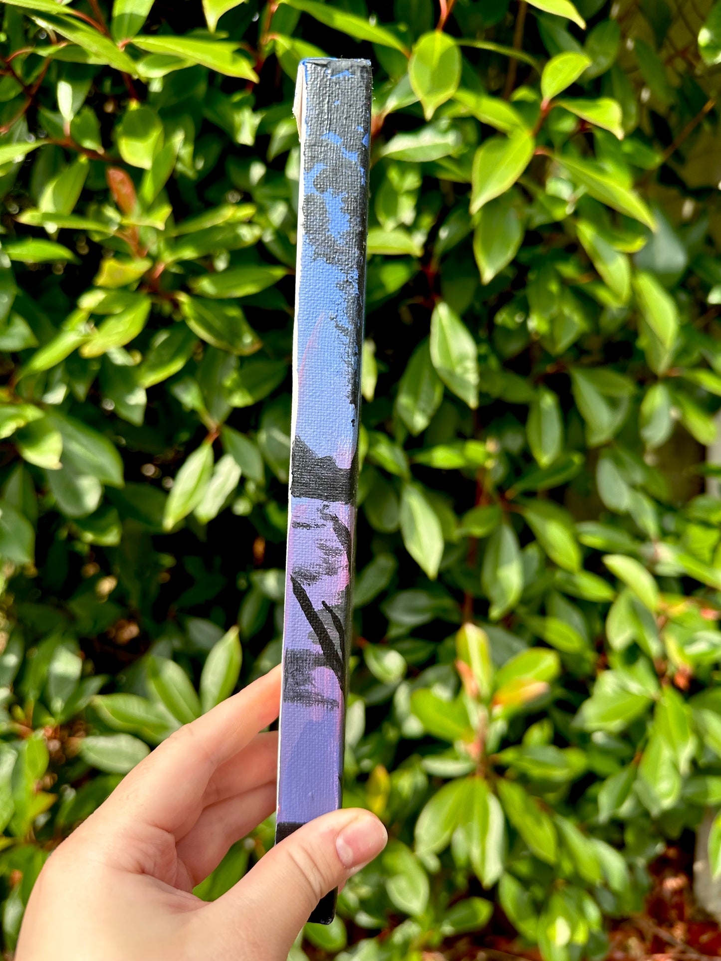 Dark Night Mountain Canvas