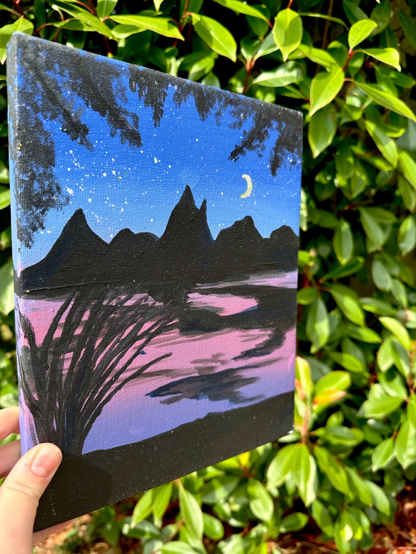 Dark Night Mountain Canvas